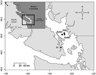 Relative Contributions of Biodiversity and Environment to Benthic Ecosystem Functioning